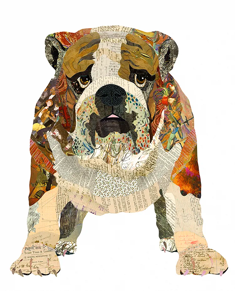 Bulldog 02