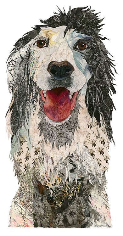English Setter "Annie"