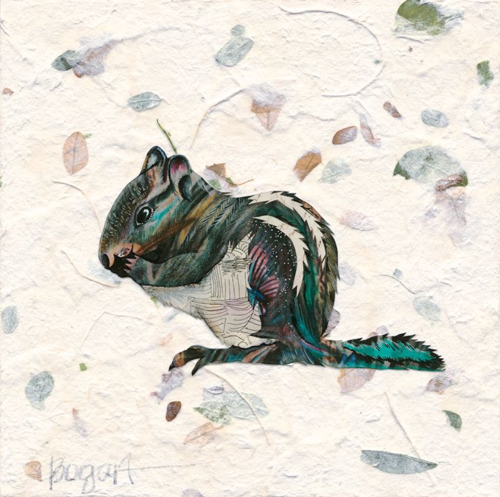 Chipmunk 04