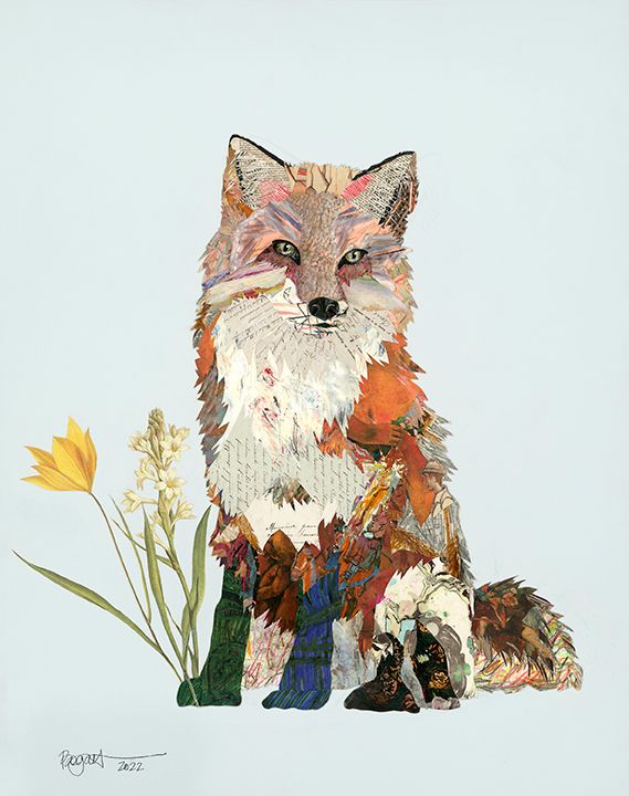Fox 01