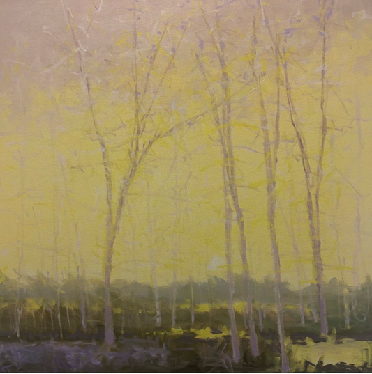 Catching Winter's Light