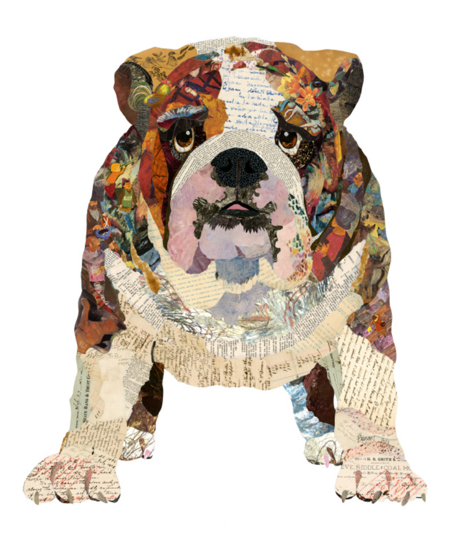 Bulldog 01