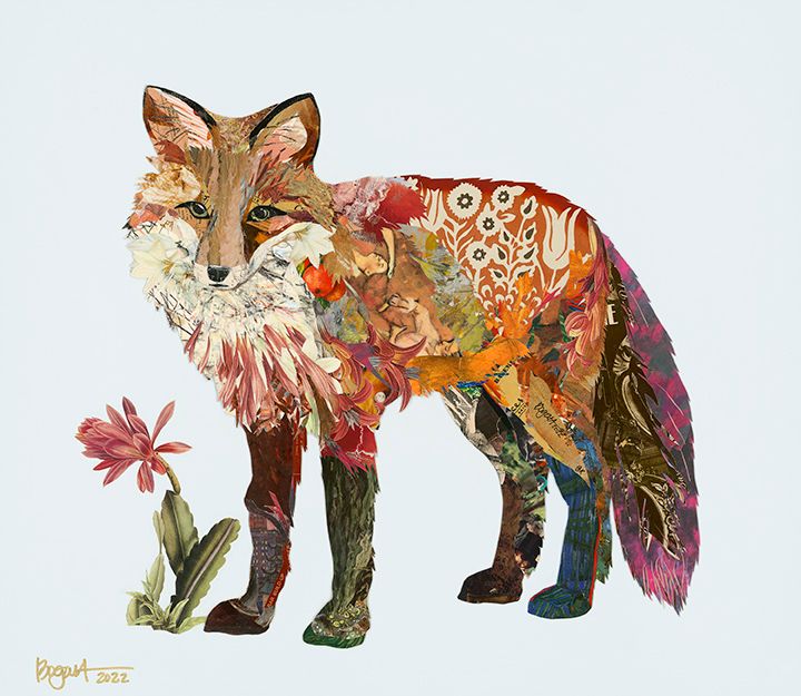 Fox 03