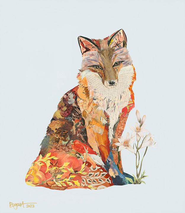 Fox 04