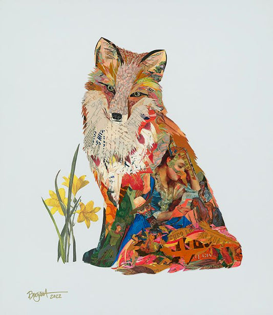 Fox 06