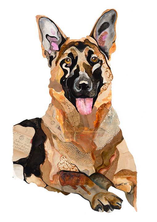 German Shepherd