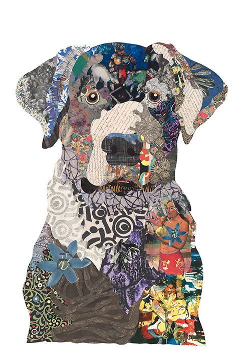 Black Lab 03