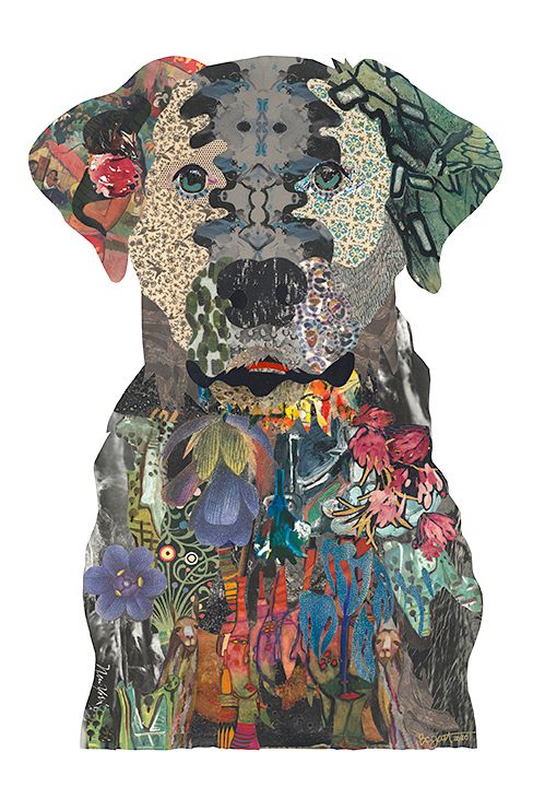 Black Lab 05