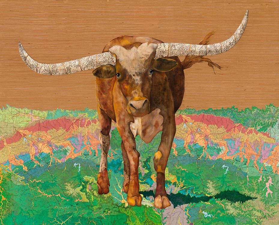 Longhorn