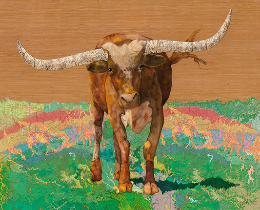 Longhorn