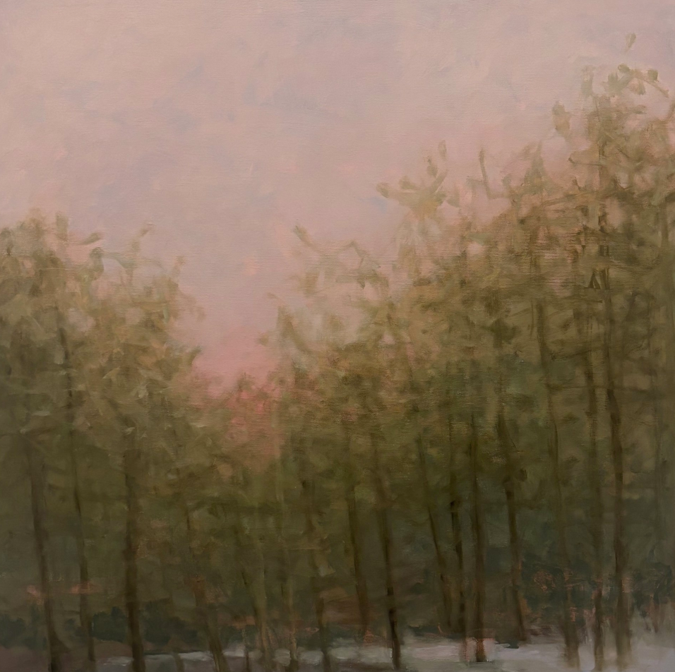 Misty Woods