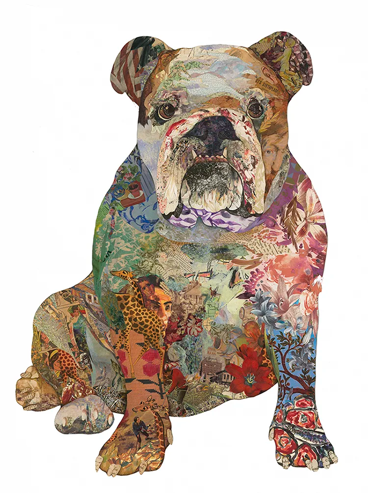 Bulldog (Tex)